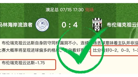 博鱼体育官方网站 113315 4
